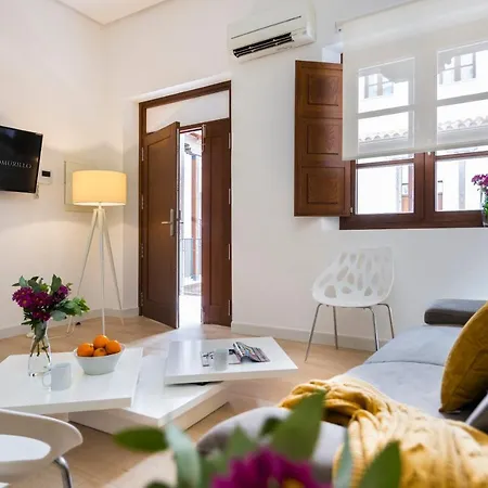 Palacio Del Siglo Xvii Frente A Jardines De Murillo Apartmán